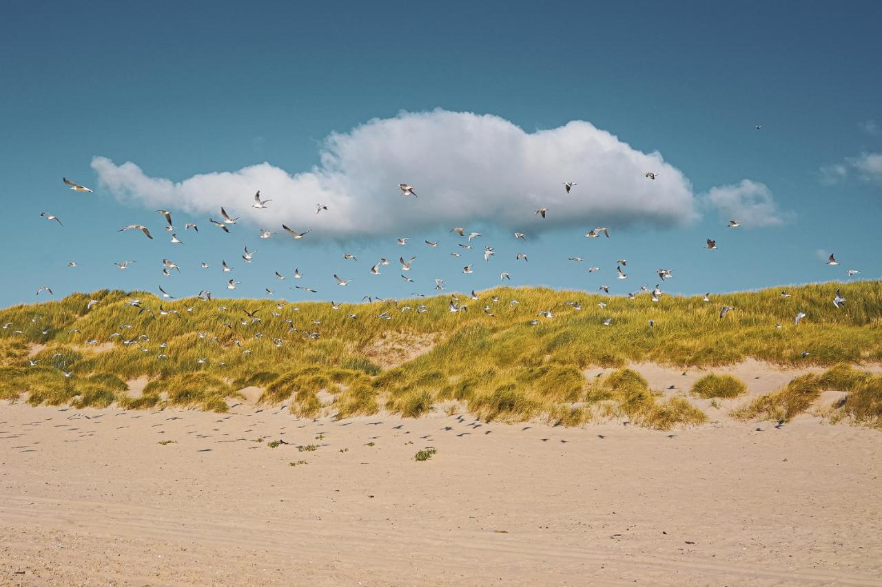Appartement Duinzee Texel De Koog  Exteriör bild