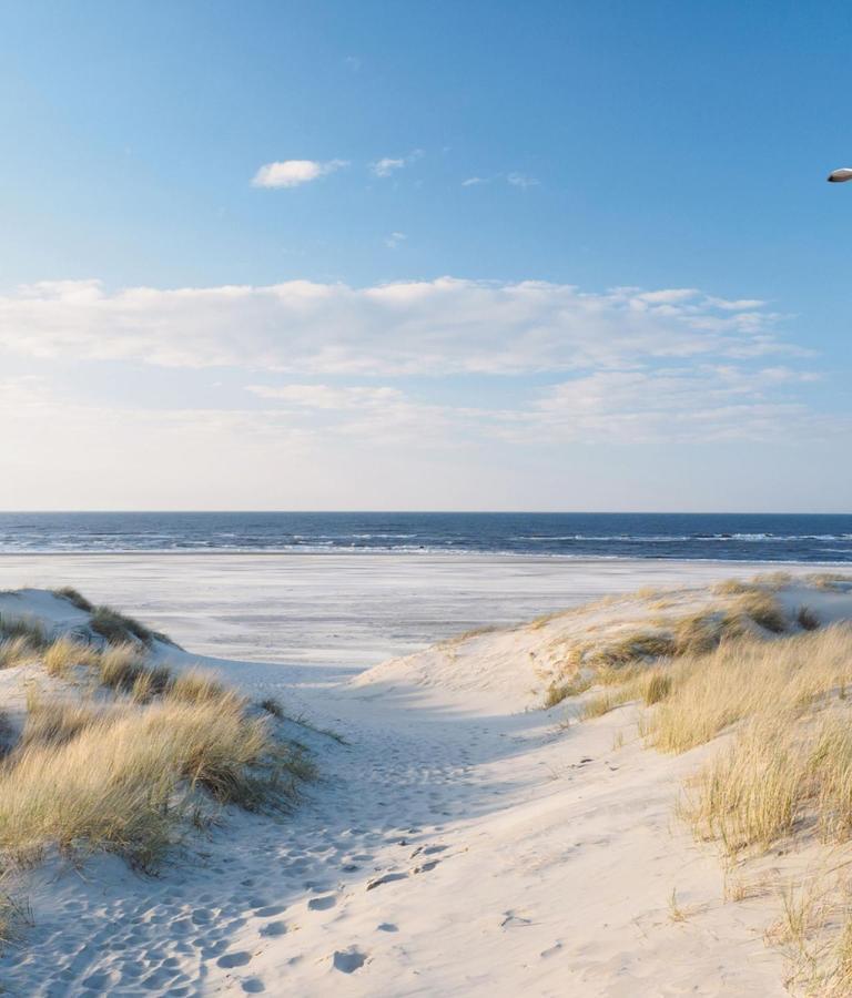 Appartement Duinzee Texel De Koog  Exteriör bild